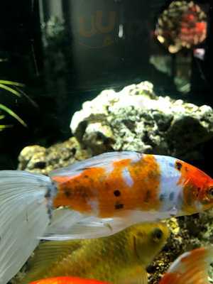 New Friends Mekong Food Discovery