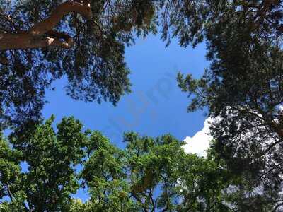 Cappuccino Grand Café