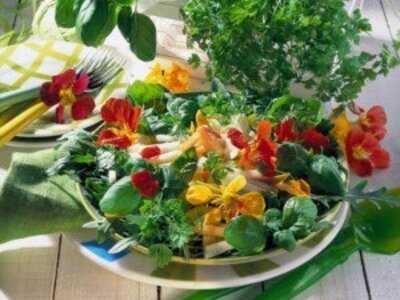 Cafe Eule Im Gleisdreieck