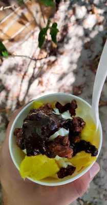 Mein Lieblingseis - Frozen Yogurt Bar