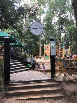 Biergarten Maxgarten