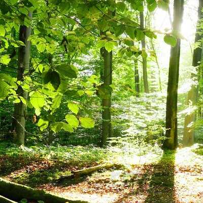 Amoag Sudaniesch Spezialitäten