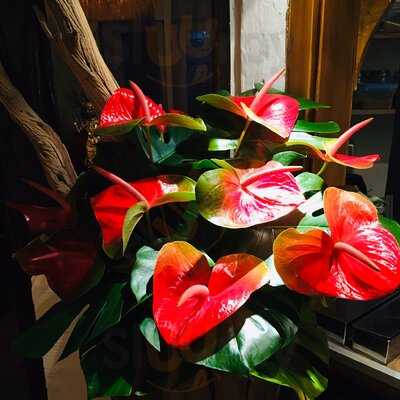 The Legend Of Floating Market