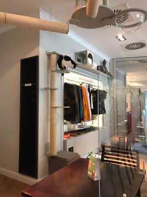 Katzentempel Rosenheim