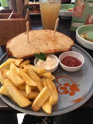 Katzentempel Rosenheim