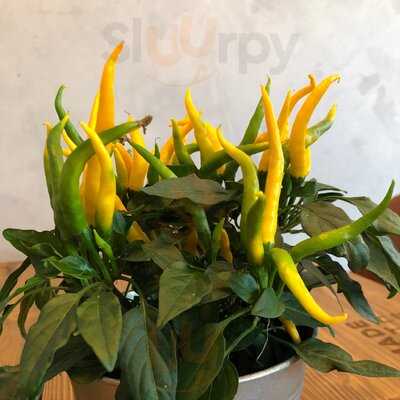 Lion’s Burger Inh. Sinisa Jozic