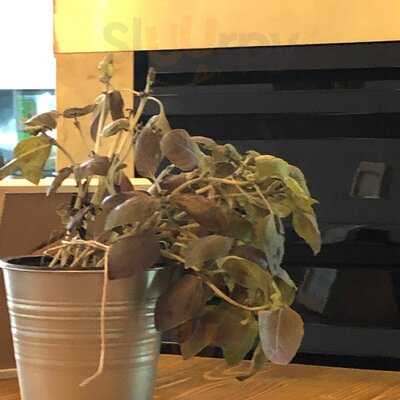 Lion’s Burger Inh. Sinisa Jozic