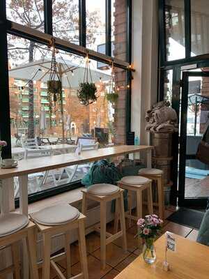 The Special Connection