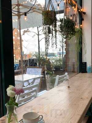 The Special Connection