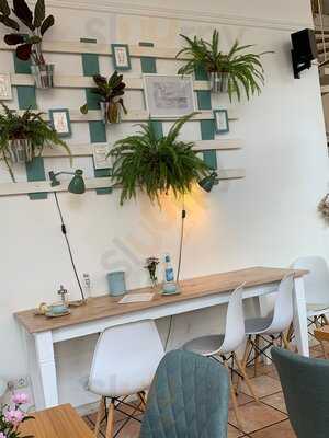 The Special Connection