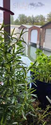 Das Schiff - Restaurant