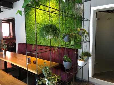 CÔcÔ - Sushi & Asian Fusion