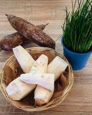 Amazonas Sabor Latino