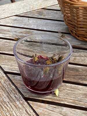 Wannseeterrassen Berlin