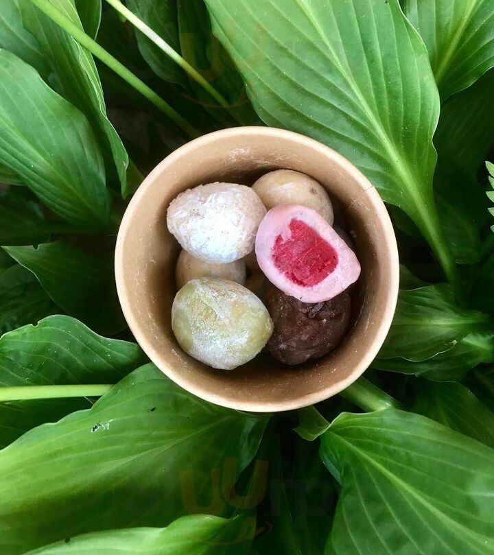 Chubby Cheeks Mochis