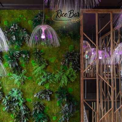 Rice Bar - Asian Streetfood & Dumpling