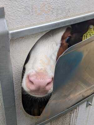 Gutsgaststätte Alteburg