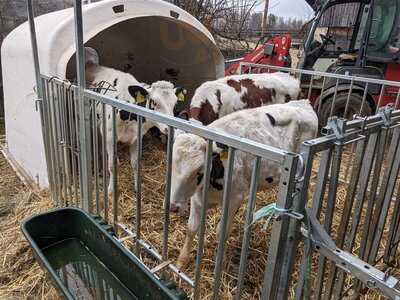 Gutsgaststätte Alteburg