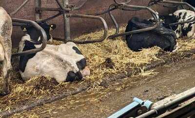 Gutsgaststätte Alteburg