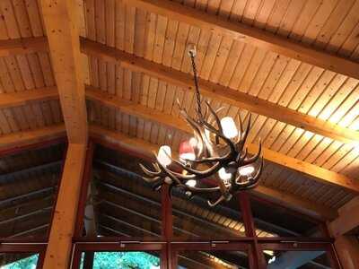 Waldschänke Zoo Berlin