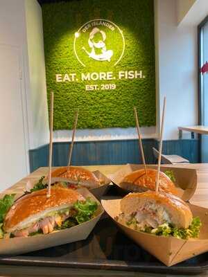 Der Isländer Phoenix See