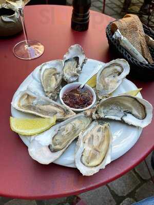 Petite Tortue Hamburg