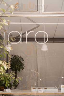 Iaro