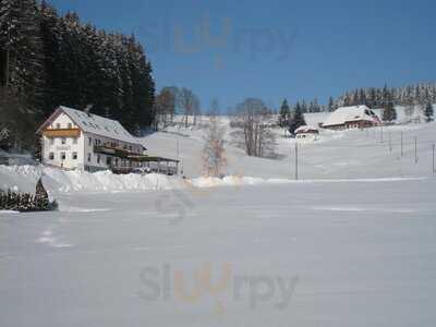 Gasthaus Pension Donishäusle
