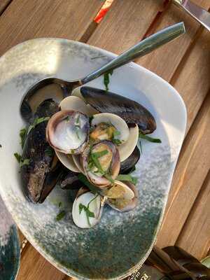 Marcolino - Food, Wine & Design