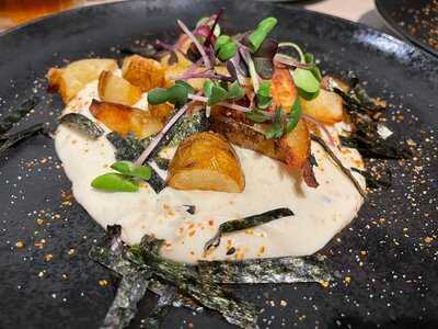 Vhy! - In Plants We Trust