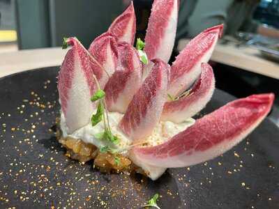 Vhy! - In Plants We Trust