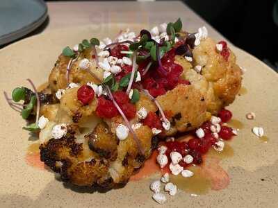 Vhy! - In Plants We Trust