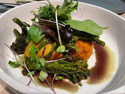 Vhy! - In Plants We Trust