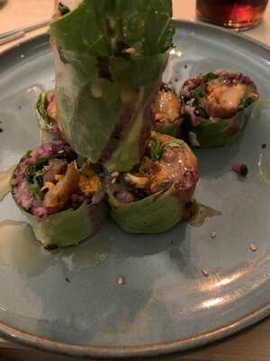 Vhy! - In Plants We Trust