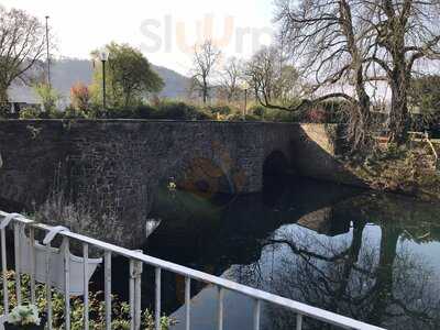 Lavendel Im Brückencafe