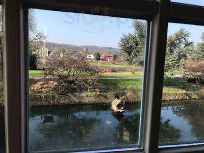 Lavendel Im Brückencafe