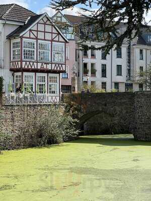 Lavendel Im Brückencafe