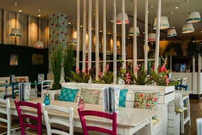 Flamingo Beach Hanau