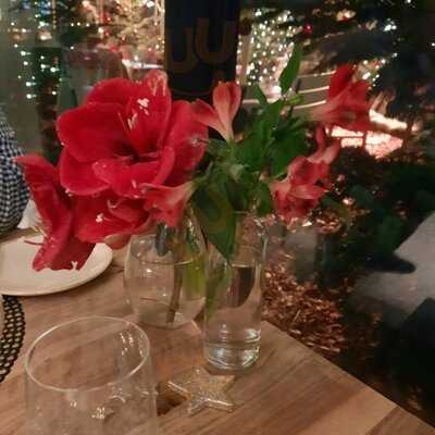 Schorse Im Leineschloss