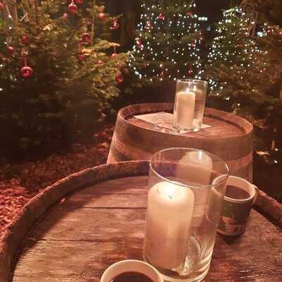 Schorse Im Leineschloss