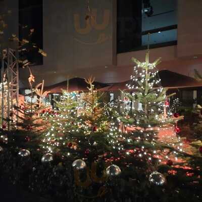 Schorse Im Leineschloss