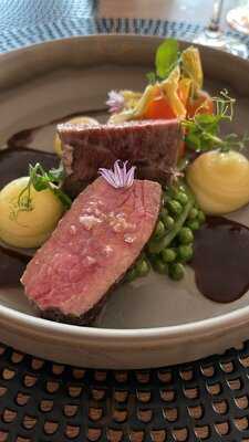 Schorse Im Leineschloss