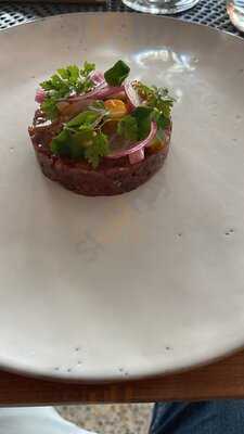 Schorse Im Leineschloss