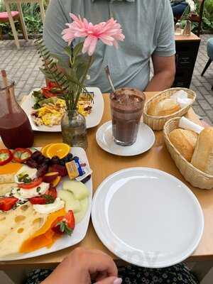 Sag Mir Wo Die Blumen Sind