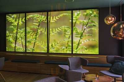 Emils Bar & Lounge Im Arcadeon