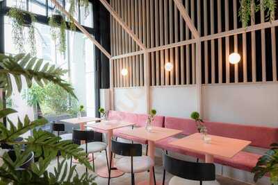 Lindenblatt Lokal Vier