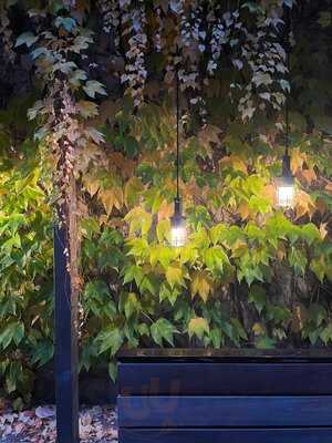 Bite By Ritter Richard