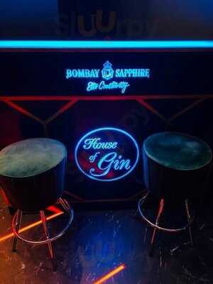 House Of Gin