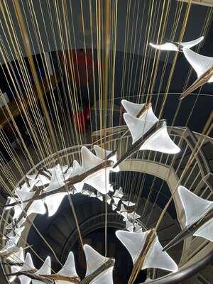 Shaokao Asian Grillhouse