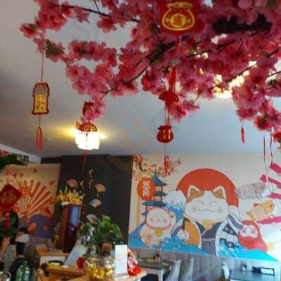 Lucky Neko - Sushi, Bowls & More